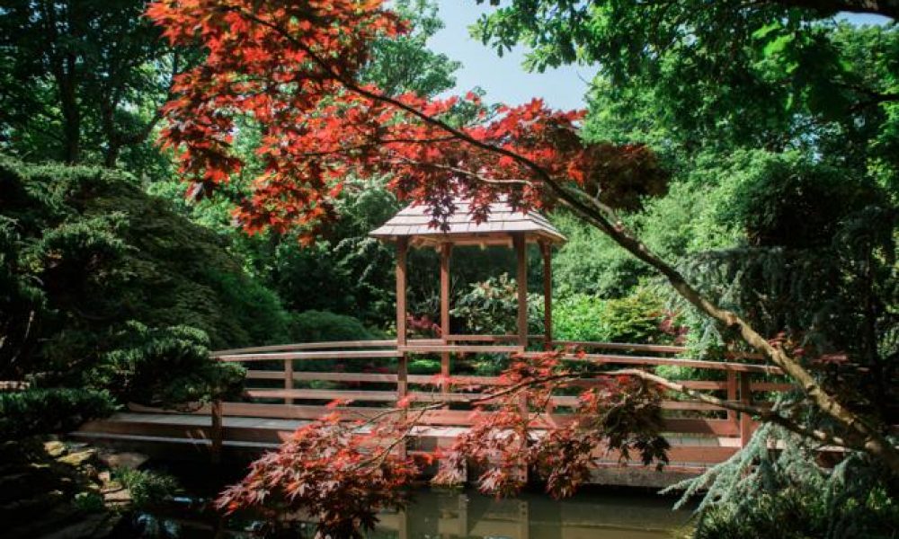 Japanese_Garden